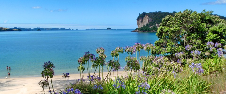 Cooks Beach Front Beach & Ferry Landing - The Coromandel NZ
